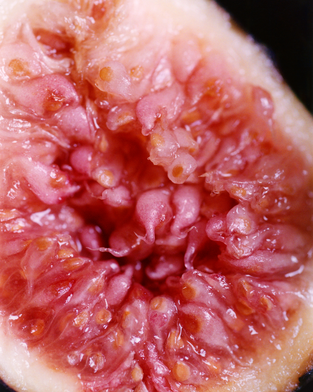SRC_92D4AC7F39137CFC Body Spritz