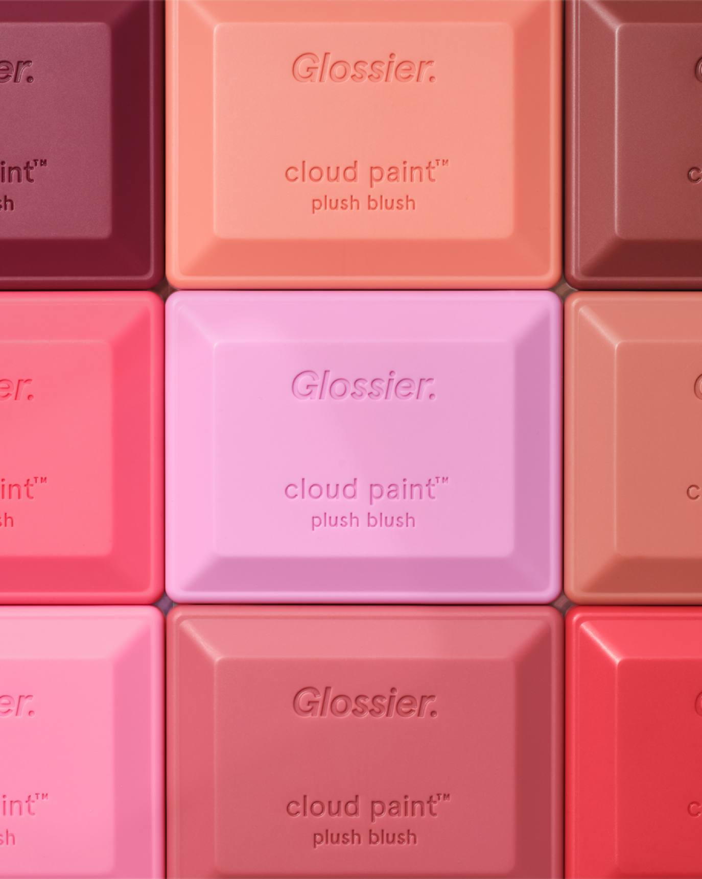 SRC_3E11853045CEADB6 Cloud Paint Plush Blush