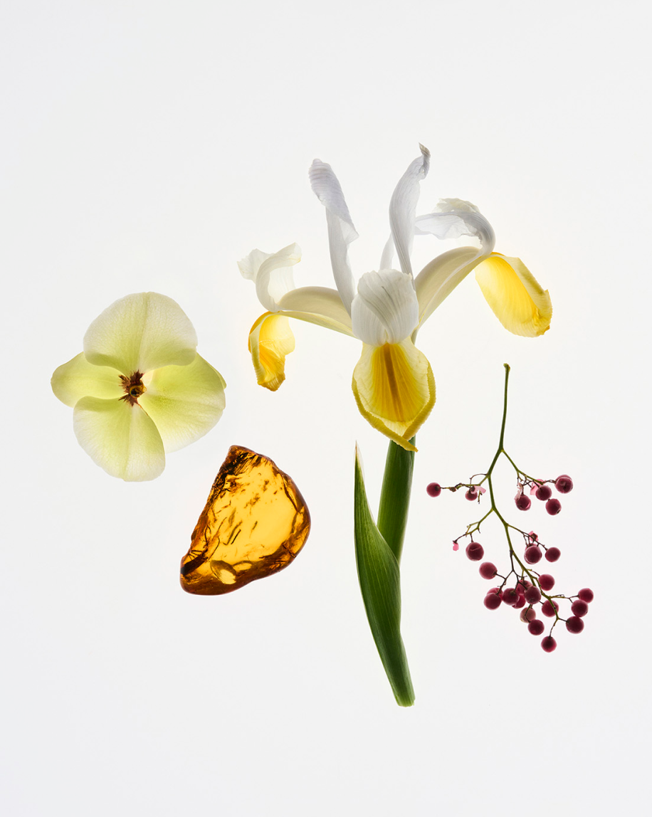 SRC_B960A776F7062658 Glossier You Solid